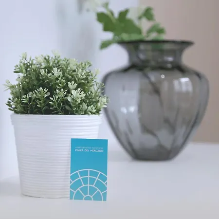 Atico Plaza Mercado 4,5 Apartament Salamanka