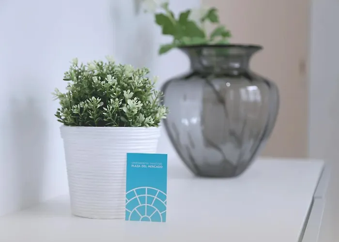 Atico Plaza Mercado 4,5 דירה סלאמנקה